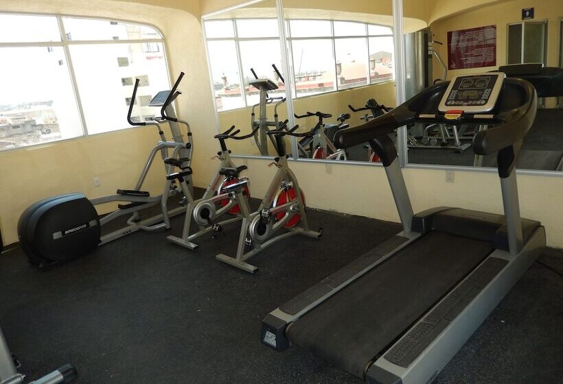 בית מלון כפרי Roma Guadalajara In Downtown