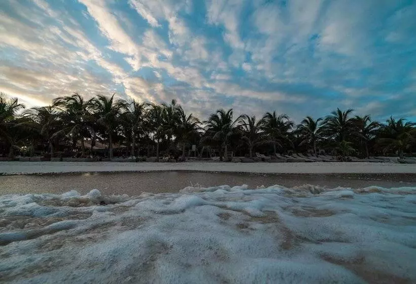 هتل Selina Tulum