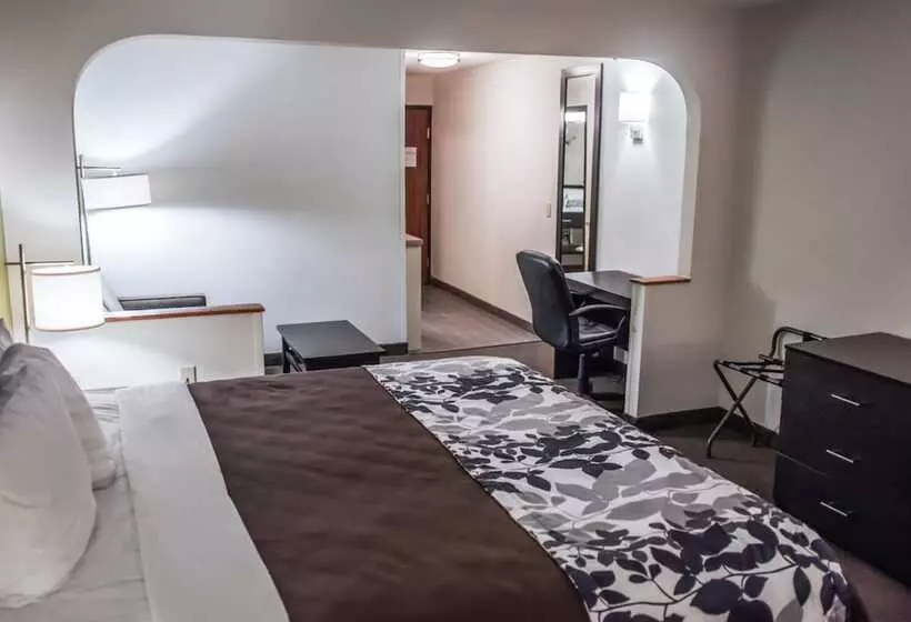 Garner Hotel Topeka West, An Ihg