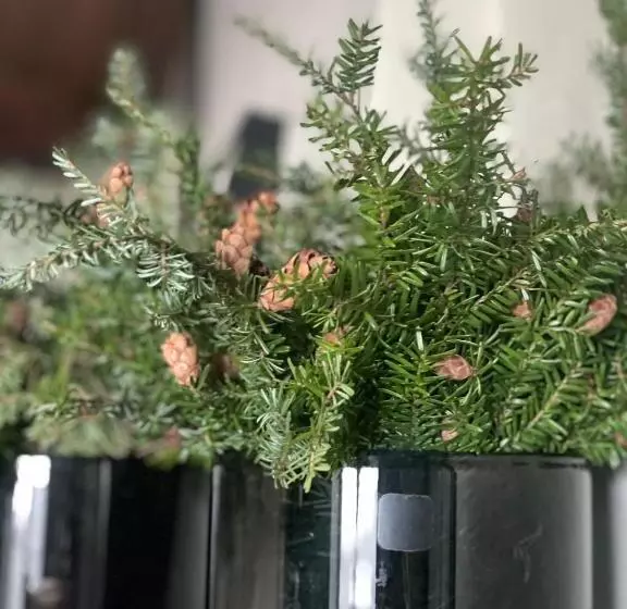 Hotelli Vertshuset Konow