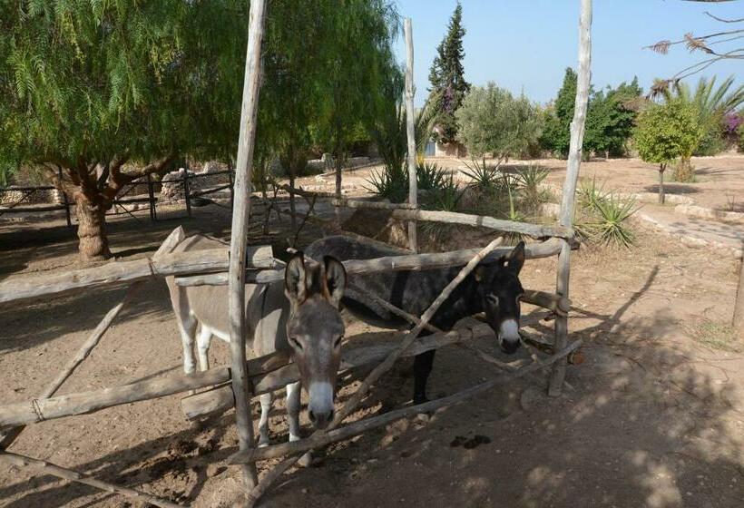 펜션 Domaine Argania