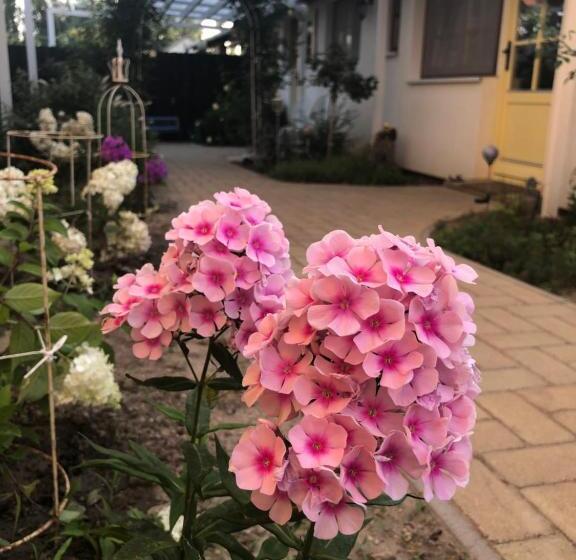 ペンション Karolina Vendégház