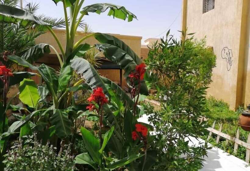 Auberge Samiraa   Hostel