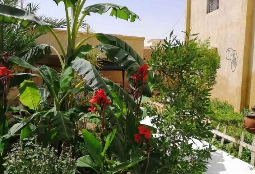 Auberge Samiraa   Hostel