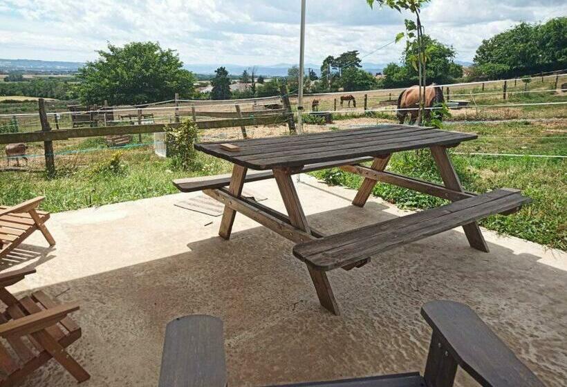 צימר 10 Mn A7 Chambre D Hotes Et Gites De Cozance Piscine, Mini Ferme Gratuit   Spa Et Sauna En Extra Sur