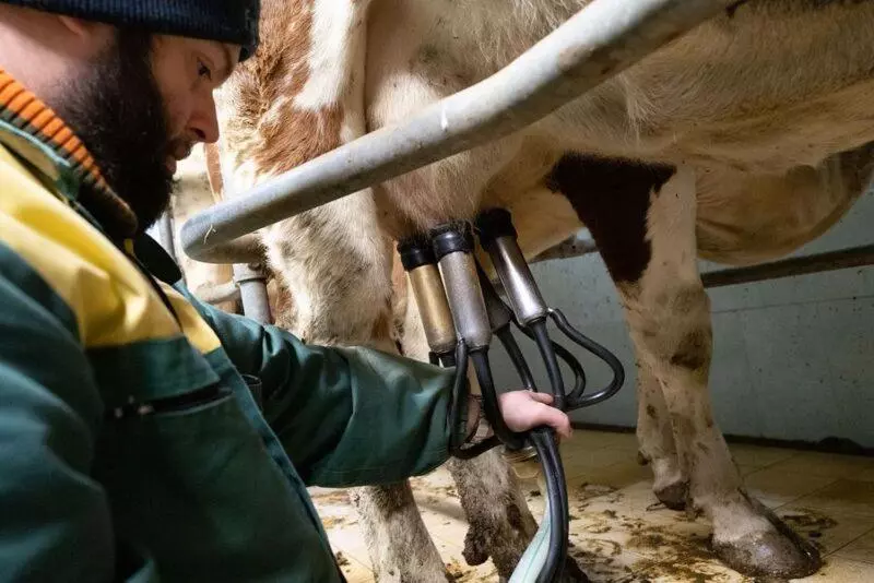 تختخواب و صبحانه Alloggio Del Contadino