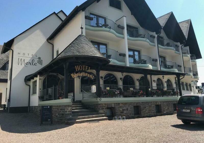 בית מלון כפרי Merle