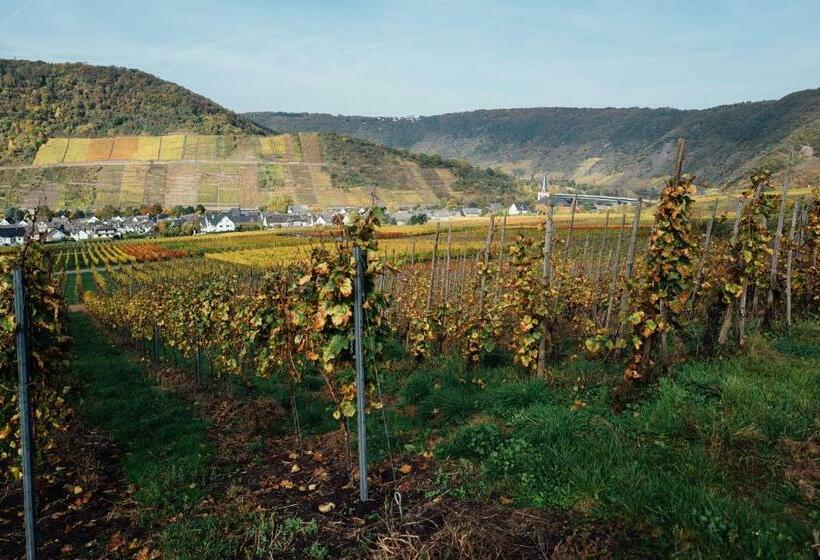 בית מלון כפרי Merle