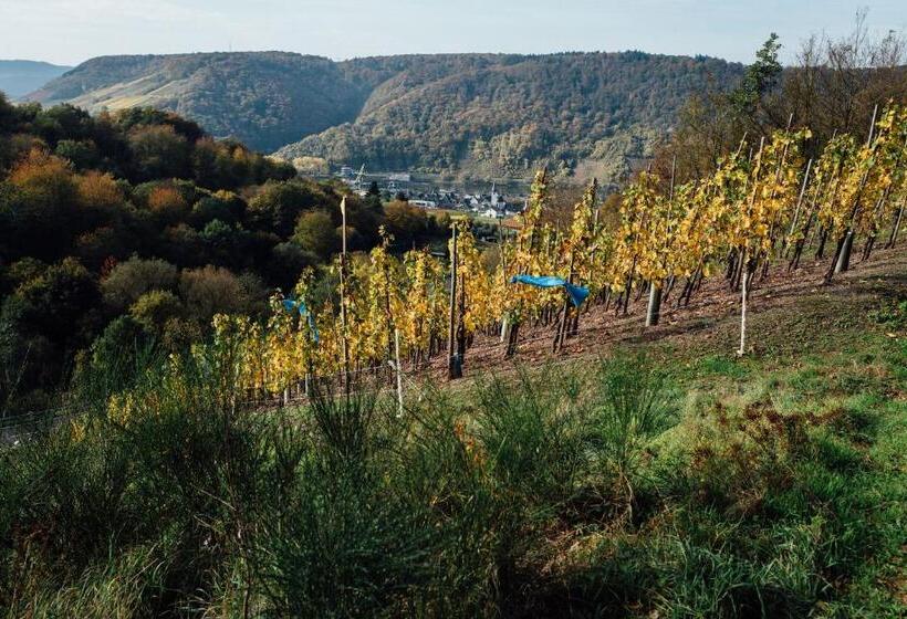 בית מלון כפרי Merle