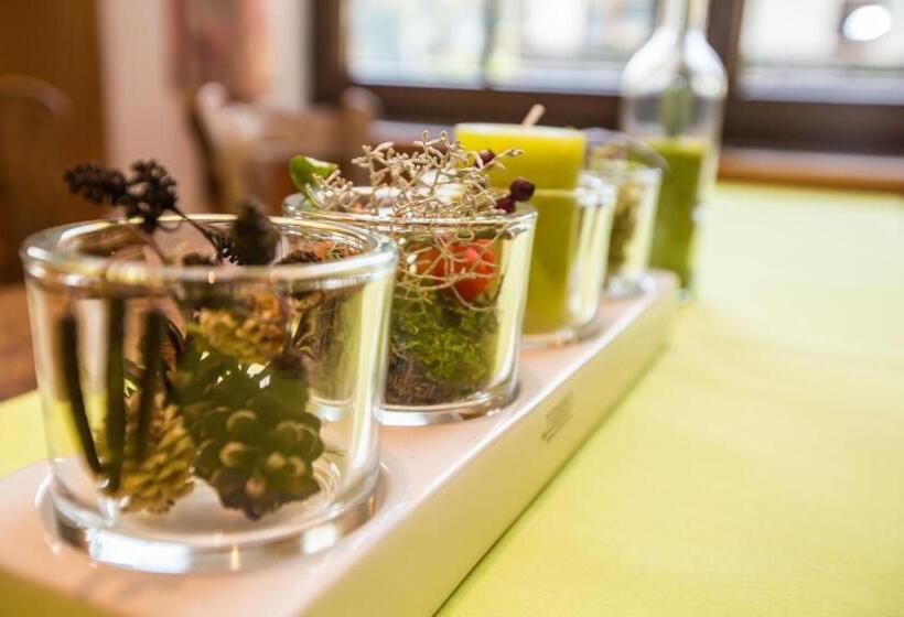 בית מלון כפרי Merle