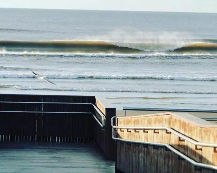 ペンション Apartamentos Praiamar