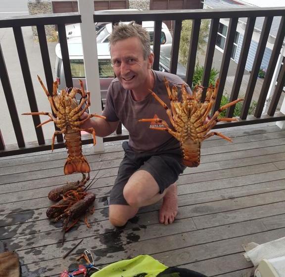 旅馆 The Lazy Shag Lodge