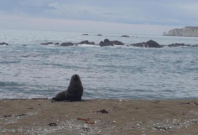 旅馆 The Lazy Shag Lodge