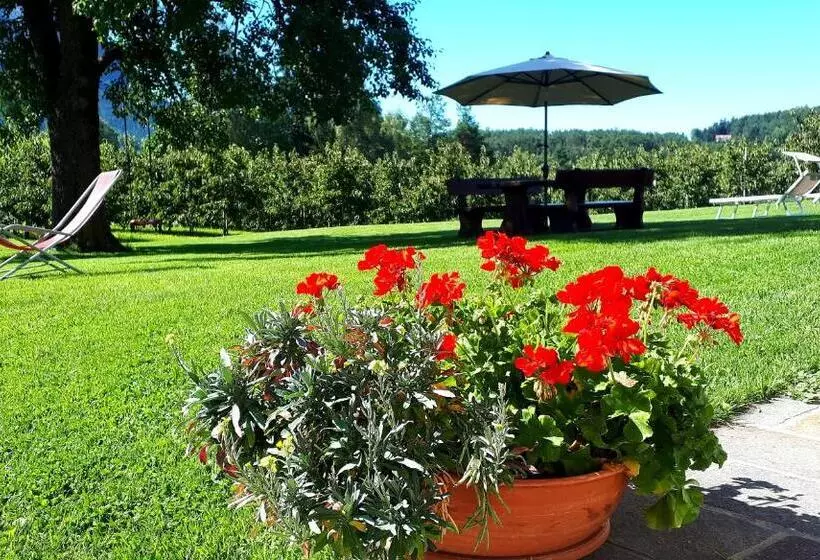 Hotelli Kachlerhof