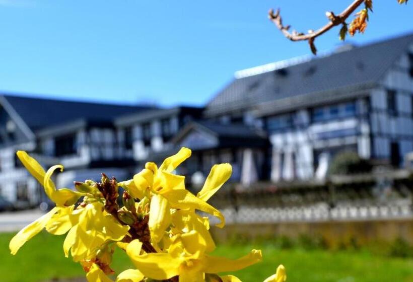 Отель Wellness Gasthof Cafe Nuhnetal