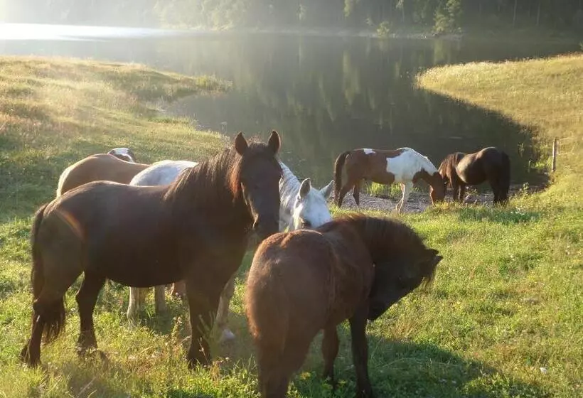 Naturresidenz Theistadl