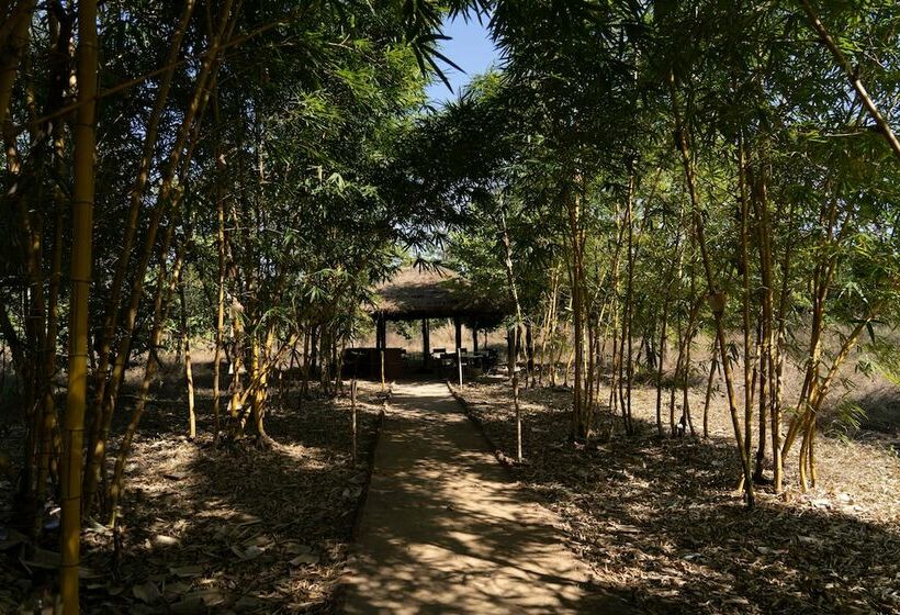 Отель Bagh Tola, Bandhavgarh