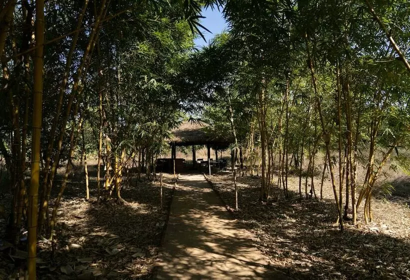 ホテル Bagh Tola, Bandhavgarh