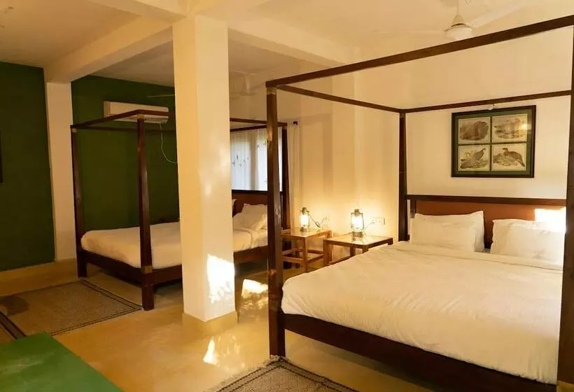 ホテル Bagh Tola, Bandhavgarh