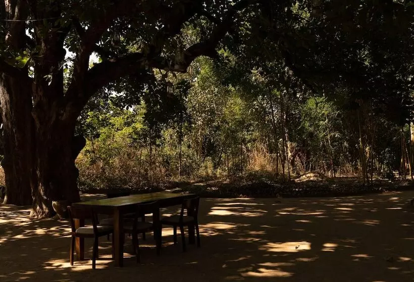 ホテル Bagh Tola, Bandhavgarh