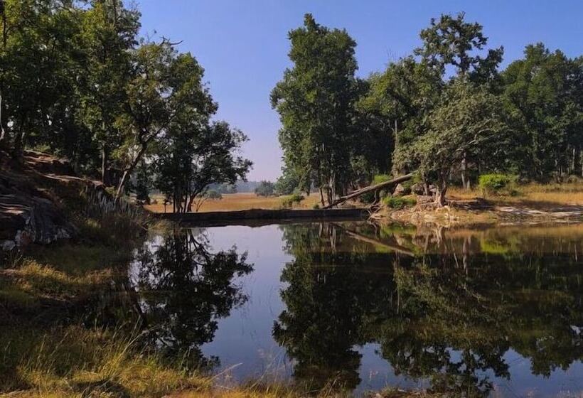 Отель Bagh Tola, Bandhavgarh