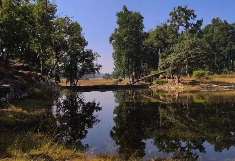 ホテル Bagh Tola, Bandhavgarh