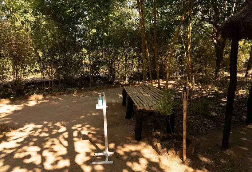 ホテル Bagh Tola, Bandhavgarh