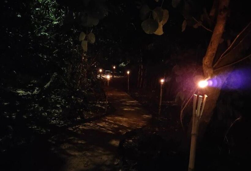 Отель Bagh Tola, Bandhavgarh