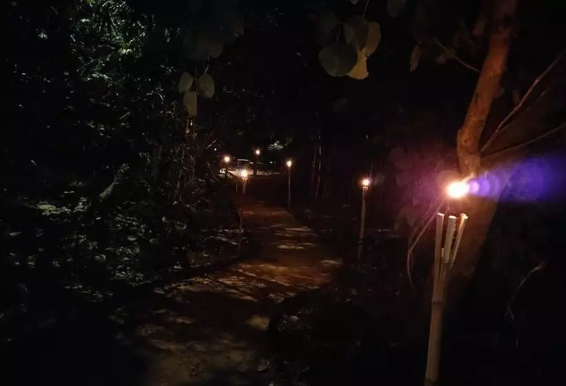 ホテル Bagh Tola, Bandhavgarh