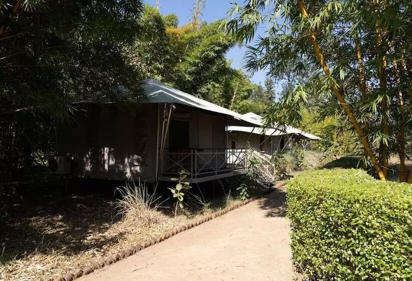 ホテル Bagh Tola, Bandhavgarh