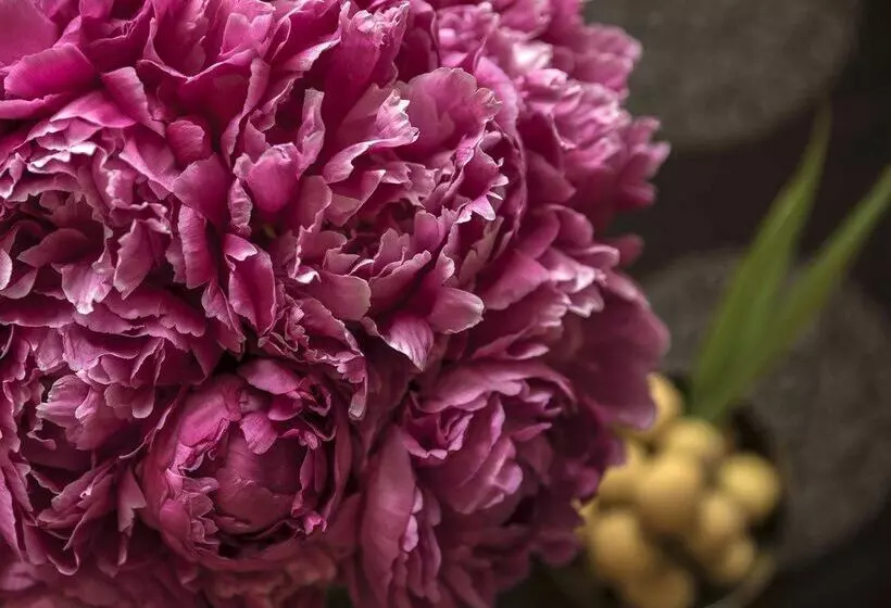 Four Seasons Hotel Shanghai