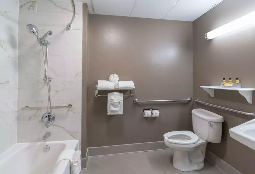 酒店 Best Western Plus Lake City