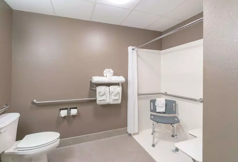 酒店 Best Western Plus Lake City