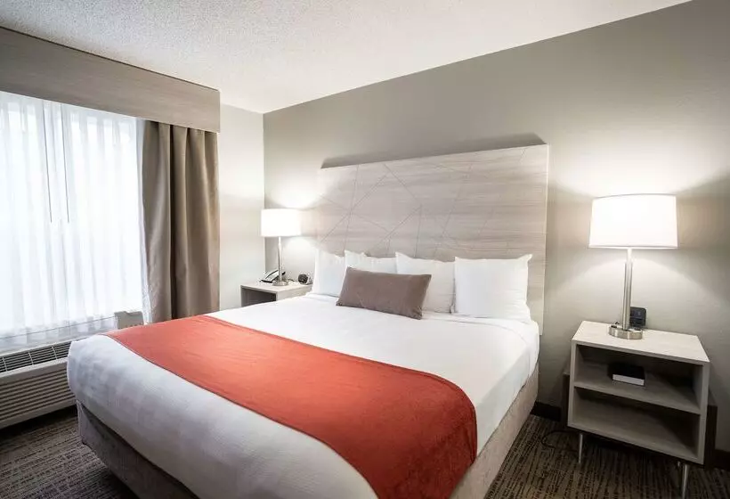 酒店 Best Western Plus Lake City