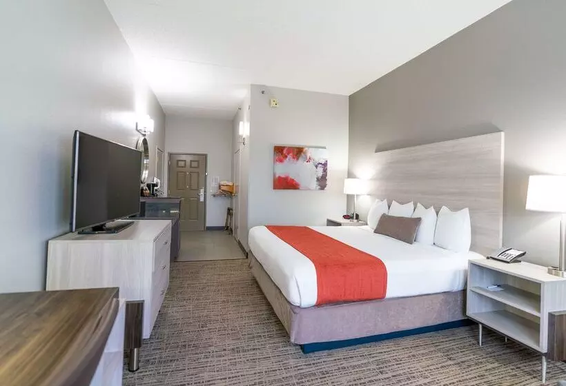 酒店 Best Western Plus Lake City