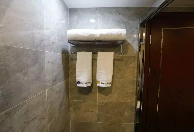 호텔 Hawaii International