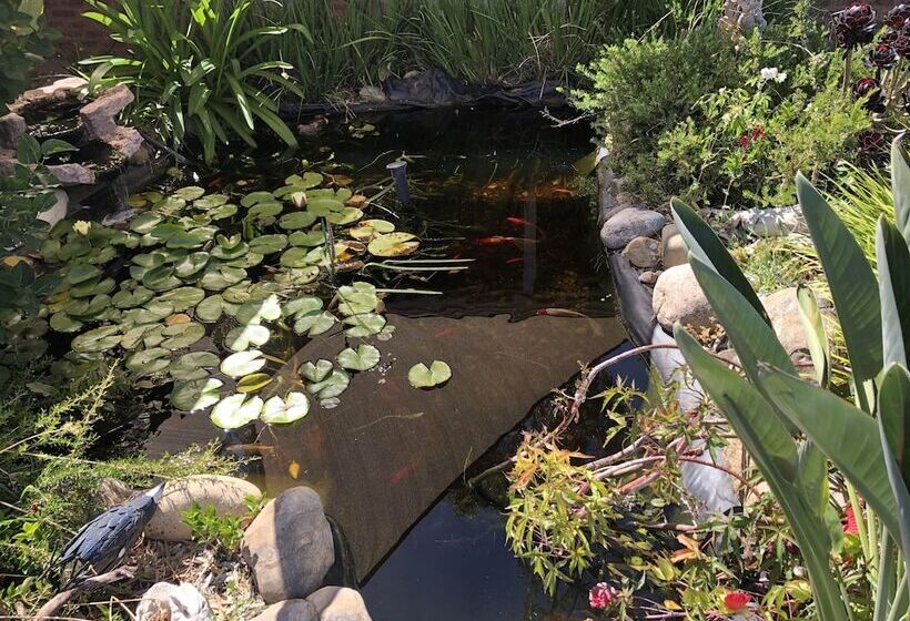 בית מלון כפרי Settlement Motor Inn