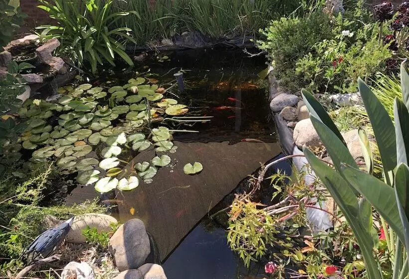 فندق Settlement Motor Inn