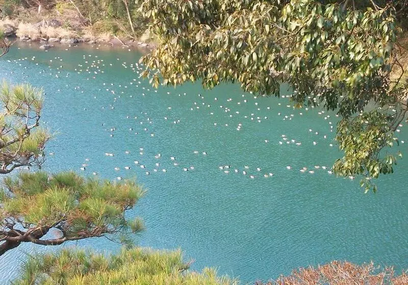 ホテル Monobegawa No Hotori No Onsen Yado Yume No Onsen