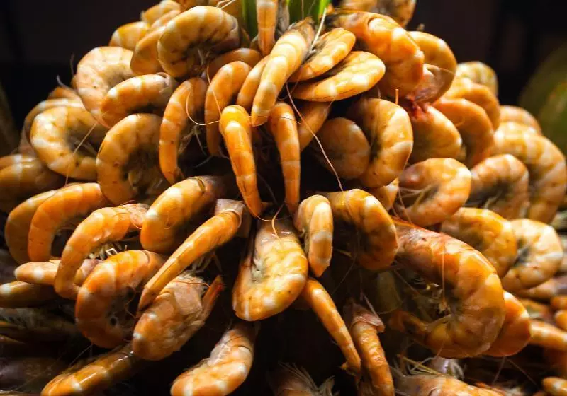 호텔 Djerba Aqua Resort