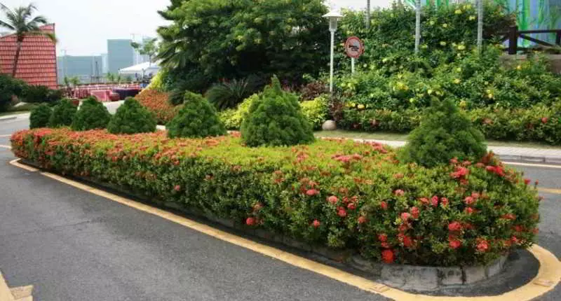 호텔 Guesthouse International