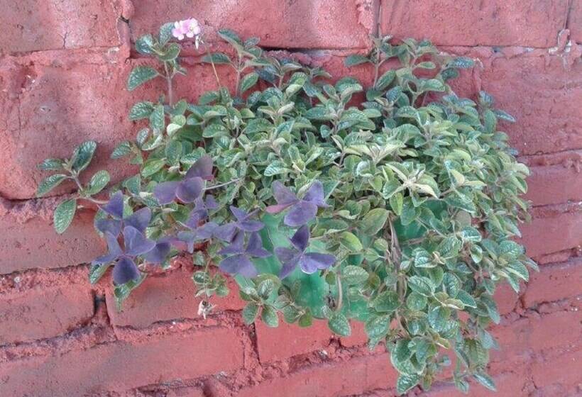 Fernandez Room Rentals