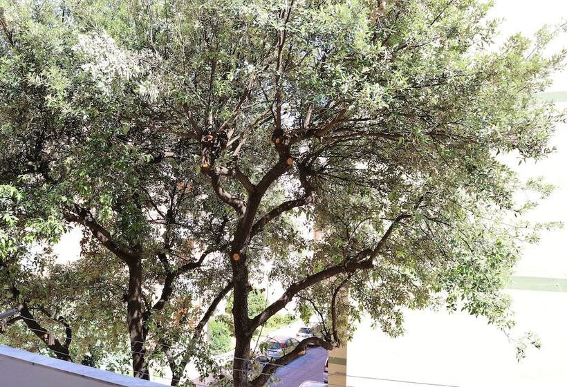 Bed and Breakfast Tomely's House