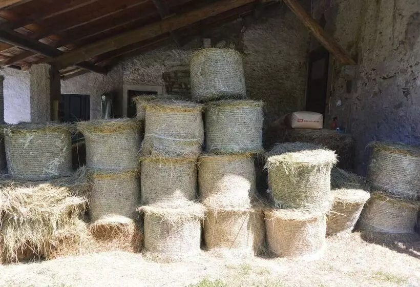 田舎風ホテル Agriturismo La Derta