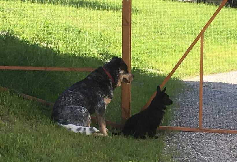 فندق ريفى Agriturismo La Derta