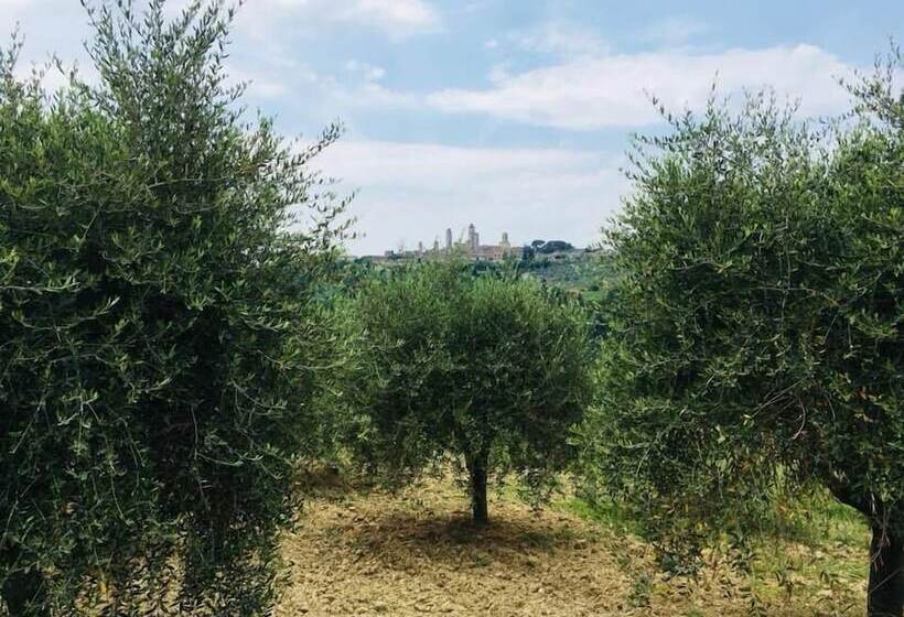 교외 호텔 Agriturismo Le Rote