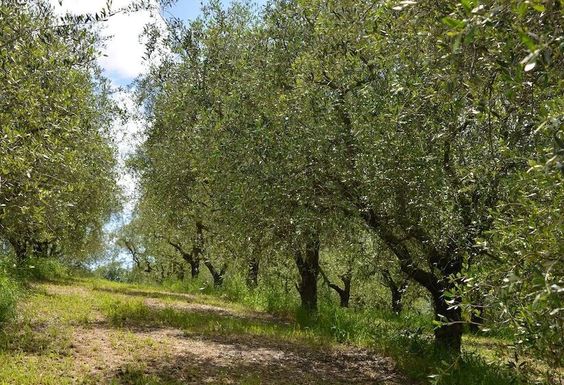 בית מלון כפרי Agriturismo Monteverde