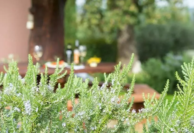 田舎風ホテル Agriturismo Poggio Corbello