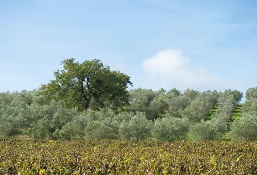 فندق ريفى Agriturismo Poggio Corbello