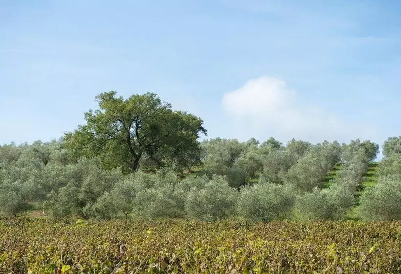 田舎風ホテル Agriturismo Poggio Corbello